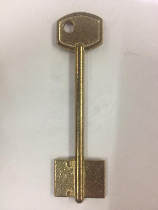 заготовка ключа РГЛ-1