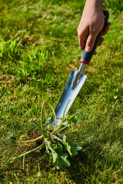 Корнеудалитель GTS02 ELITECH Garden