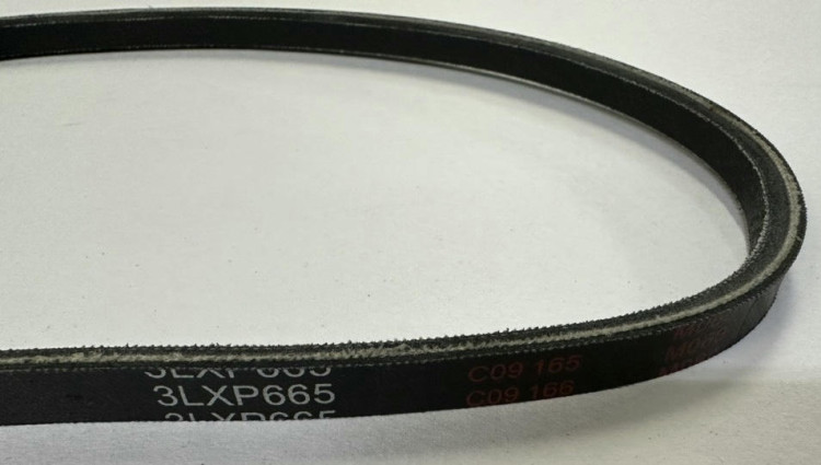 Ремень клиновой профиль 3LXP665 (V10x660 для шнеков) Champion ST553/661