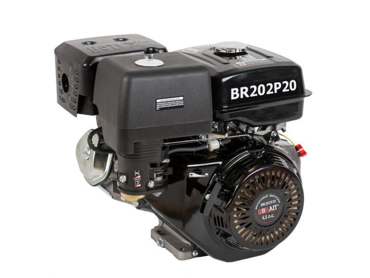 Двигатель BRAIT-202P20 | 6.5 л.с. | шкив 20 мм.