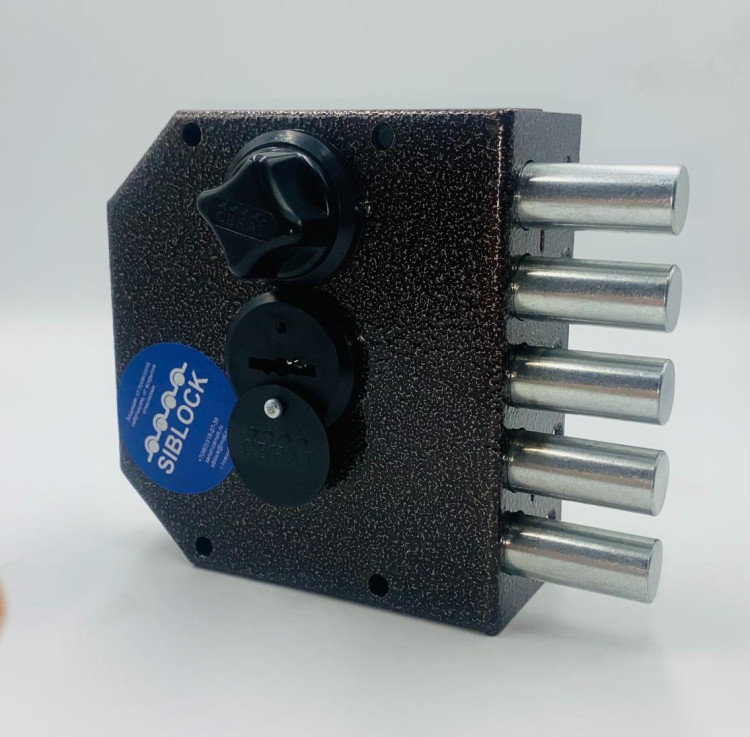 ЗНС-29 Сенат 3кл б/о (521) НОВИНКА (Эльбор 06.53)