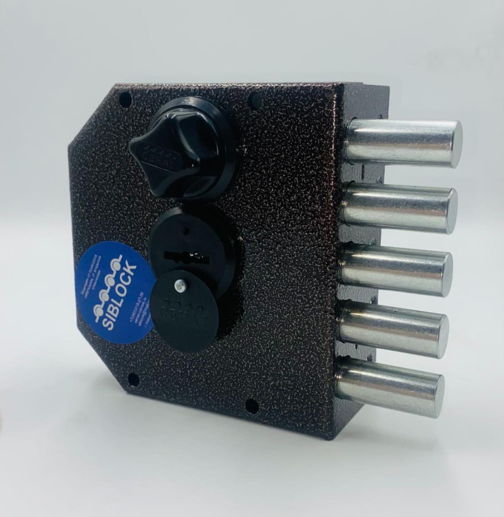 ЗНС-29 Сенат 5кл б/о (520) НОВИНКА (Эльбор 06.53)