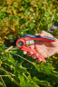 Секатор плоскостной PB 01 ELITECH Garden
