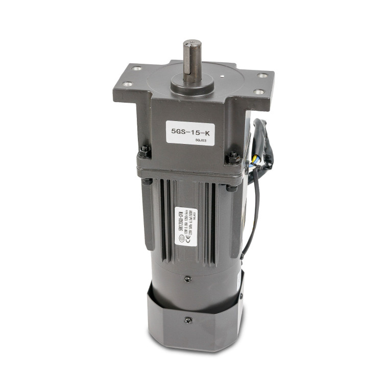 Мотор-редуктор 5RK120GU-CFM/5GS15K для BSF-5640LG-E