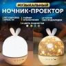 Детский светильник - ночник со сменными проекциями и подзарядкой от USB