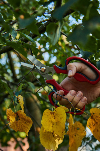 Ножницы для травы GS03 ELITECH Garden