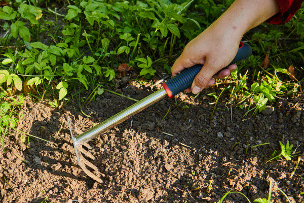 Грабли садовые GTS05 ELITECH Garden