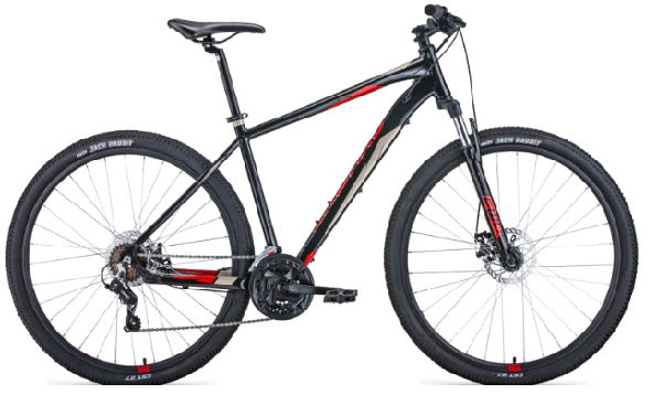 Велосипед APACHE 2.0 29 disc (2021)