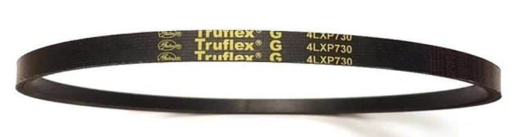 Ремень привода шнека ST556 4L-730 Champion