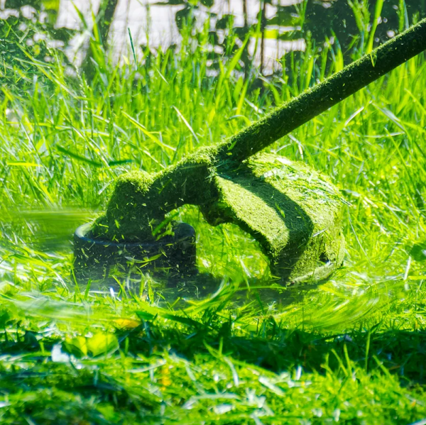 Бензиновый триммер OASIS TB-190S 150256