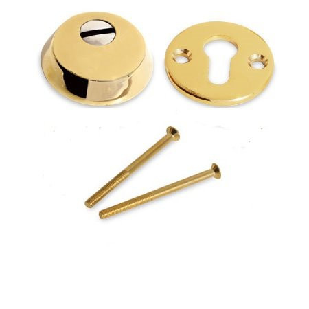 Броненакладка DAF латунь