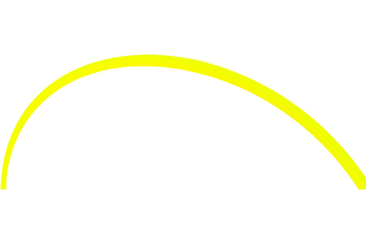 Корд трим.CHAMPION Star 2.0мм* 60м (звезда)