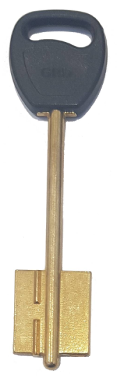 Заготовка для ключа GRD3DP (ГАРД-3 пластик) Конаково