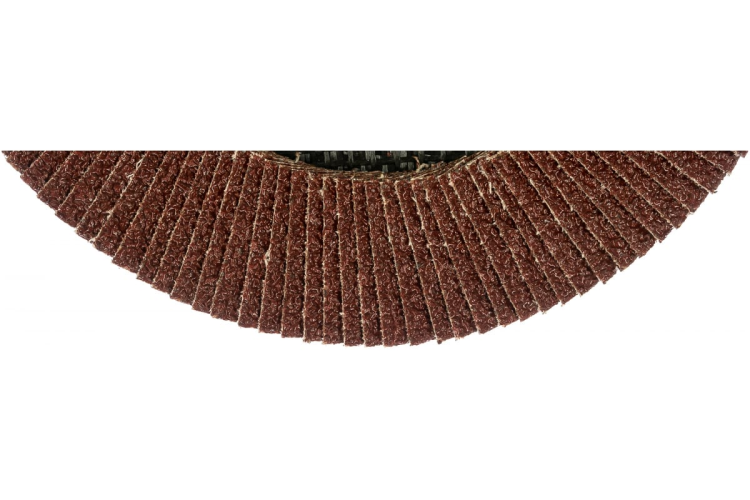 Круг лепестк. торц. PATRIOT 180*22.23*P40