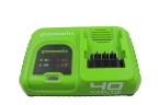Быстрое зарядное устройство Greenworks G40UC5 2945107