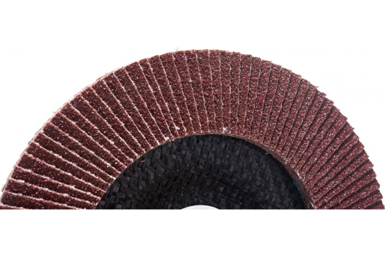 Круг лепестк. торц. PATRIOT 150*22.23*P60