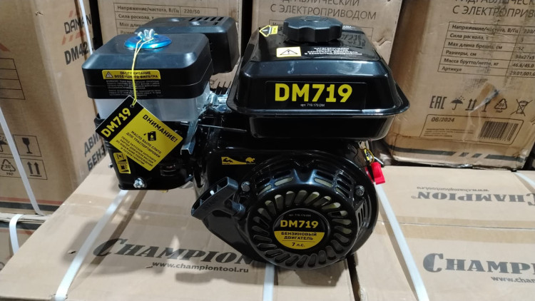 Двигатель DAMAN DM719 | 7.0 л.с. | шкив 19 мм.