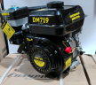 Двигатель DAMAN DM719 | 7.0 л.с. | шкив 19 мм.