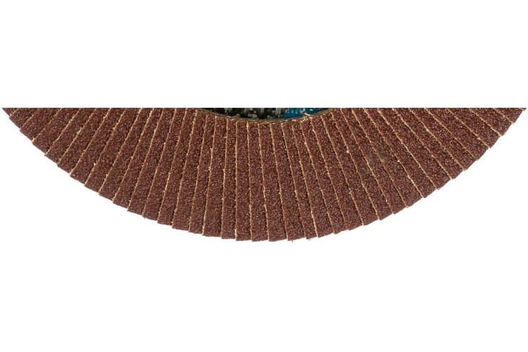 Круг лепестк. торц. PATRIOT 180*22.23*P120