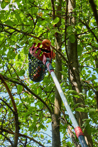 Плодосборник алюминиевый GT02 ELITECH Garden