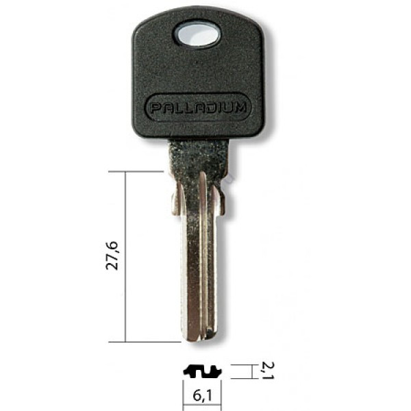 Заготовка ключа PALLADIUM Пластик (Е197)