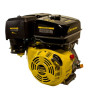 Двигатель CHAMPION G390-1HK | 13 л.с. |