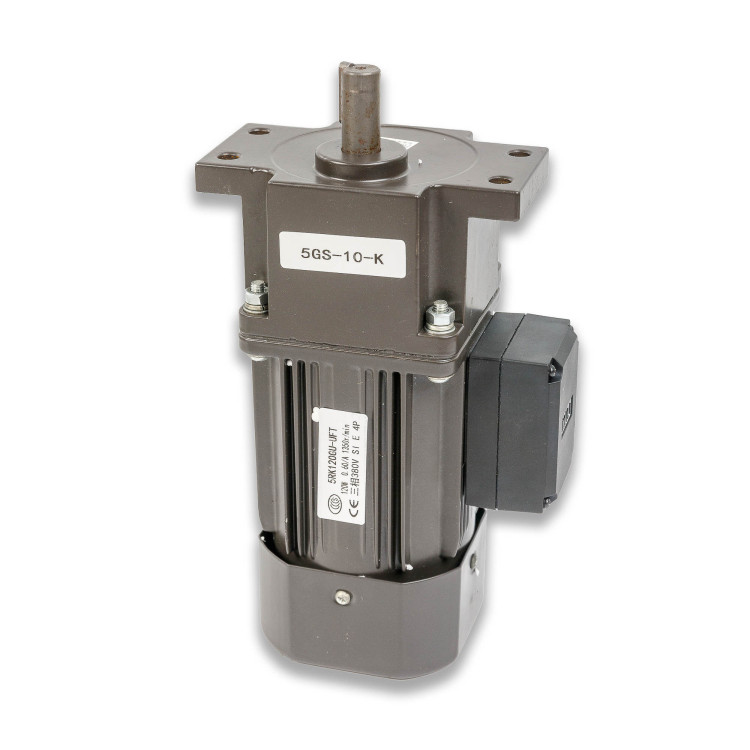 Мотор-редуктор для BSF-5545LE (5RK120GU-UF-T/5GS10-K)