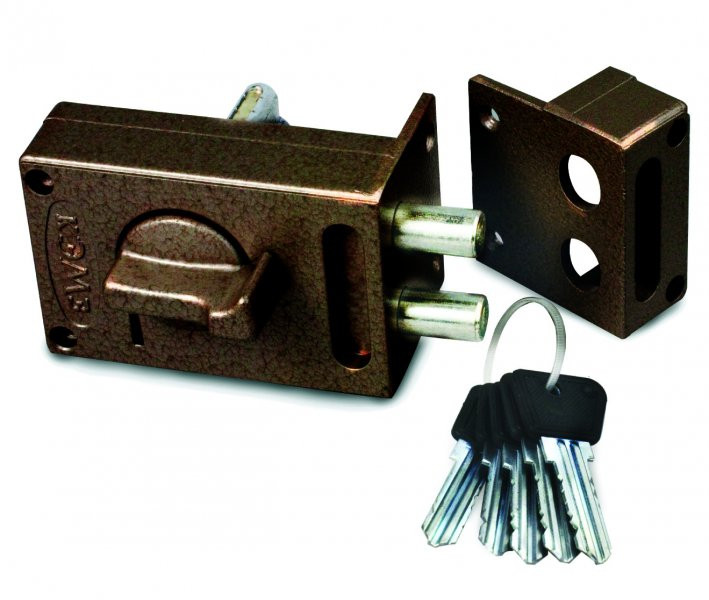 ЗН1-М1 г.Калуга (24)