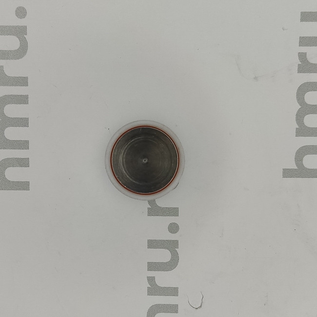 Поршень с кольцами (PTFE) для LPF/PPF-50(T)