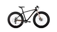 Fat bike